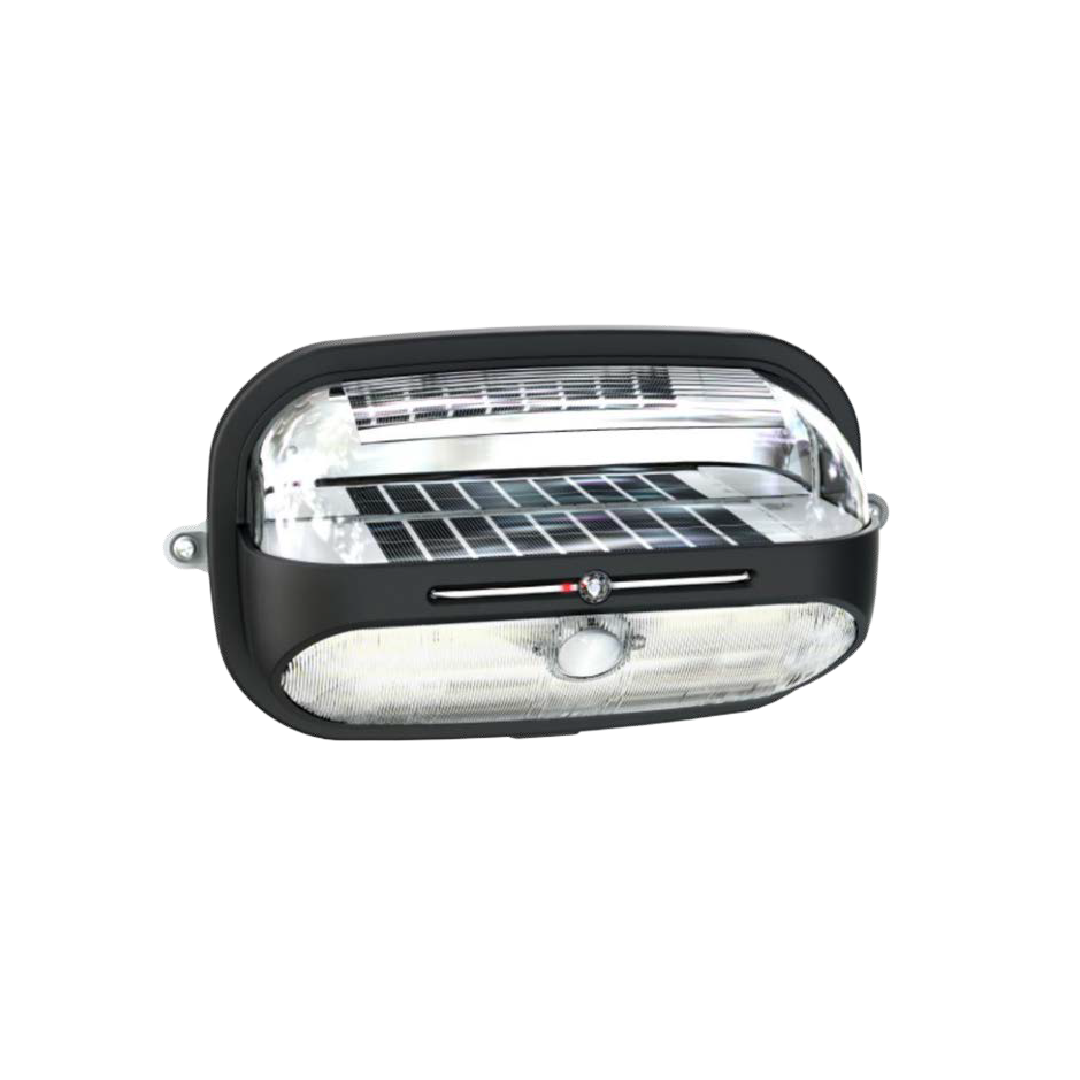 Solux Turtle