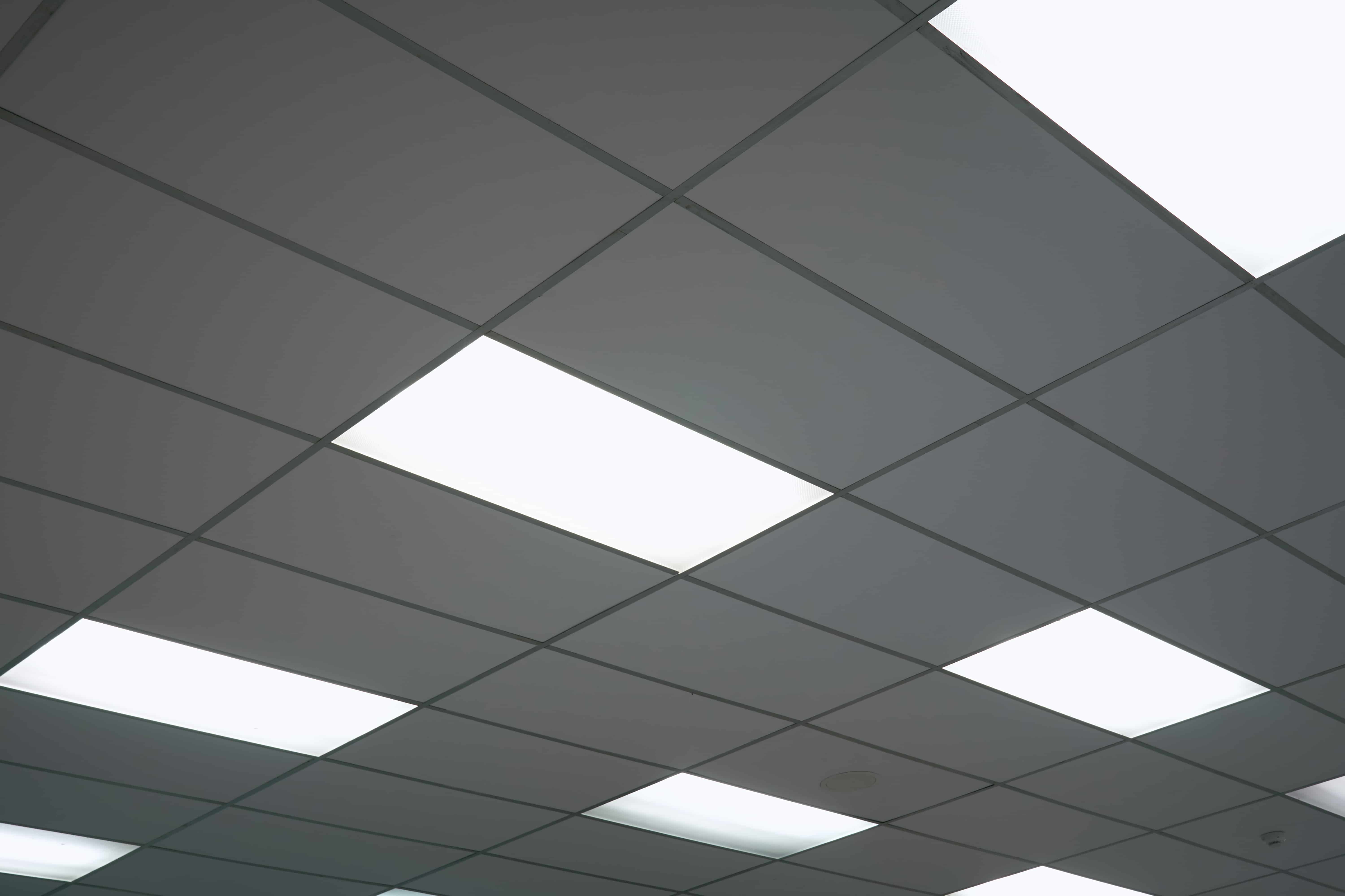 white-ceiling-with-neon-light-bulbs-uprisen-view.jpg (1)