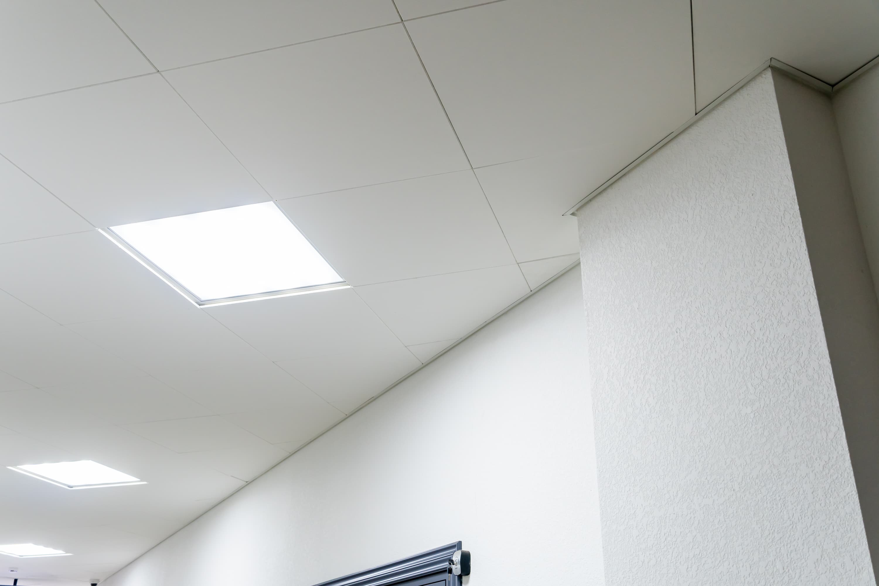  Mini Ivy LED