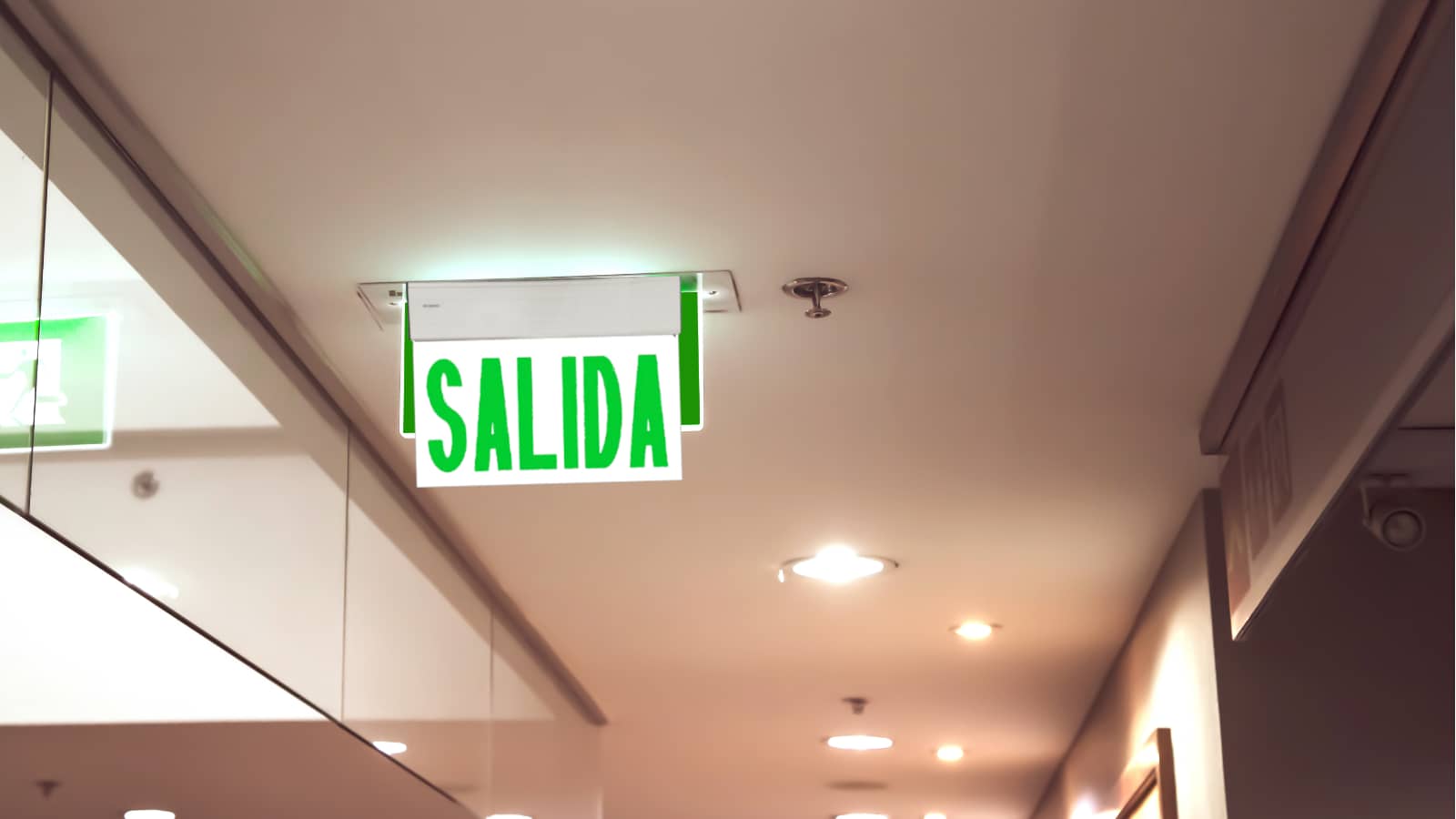 diseno-sin-titulo-2.png (1)